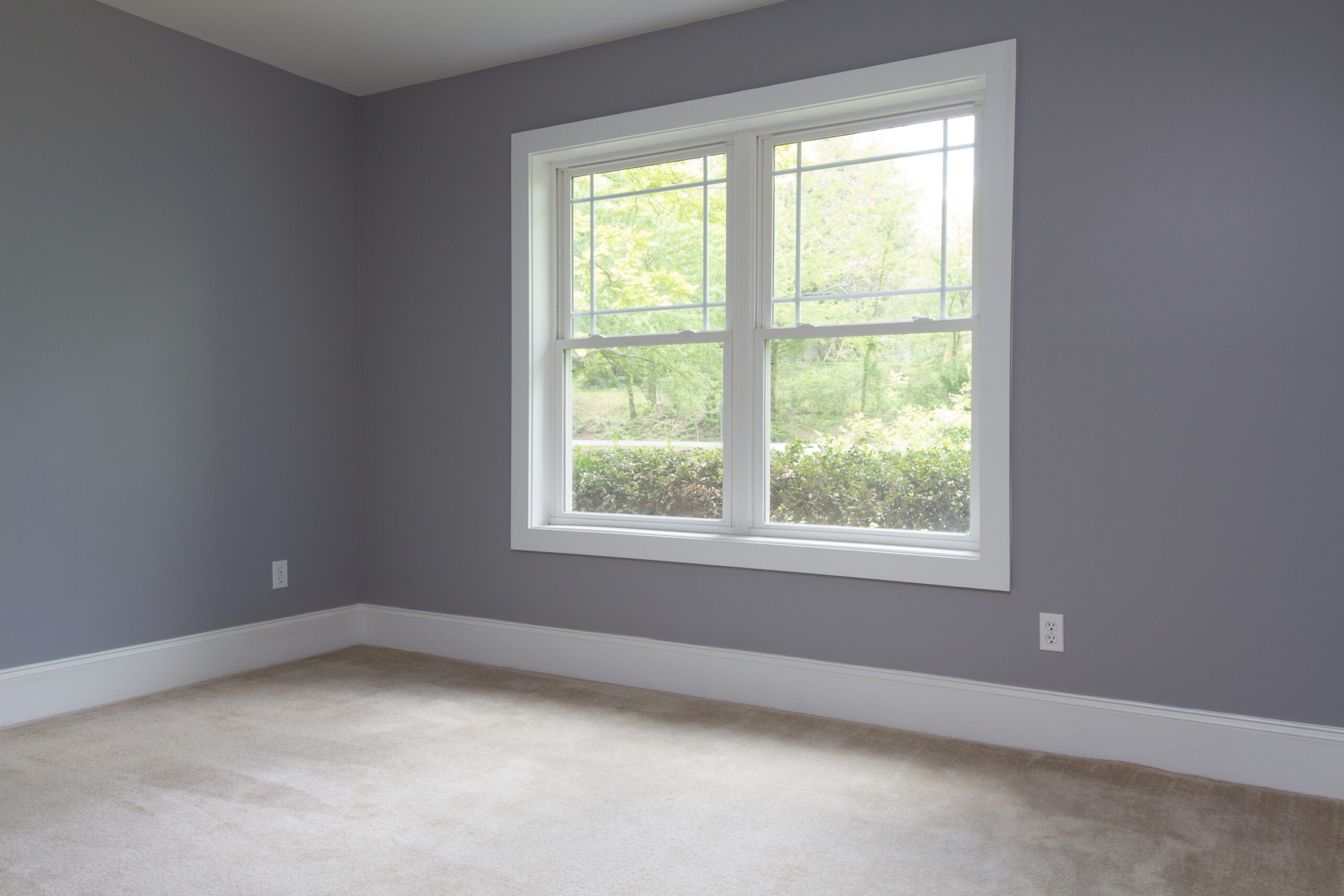 Double window in bedroom with carpet and gray walls